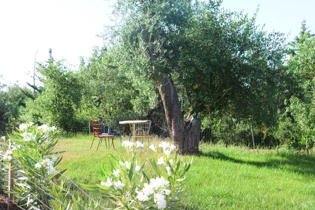 Essos Villas Dhërmi 外观 照片